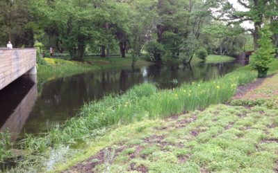 Rozmowa o zarządzaniu partycypacyjnym