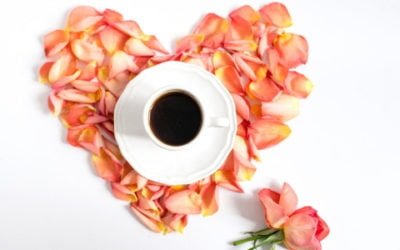 Jak przygotować plan działań employer brandingowych?