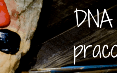 DNA marki pracodawcy