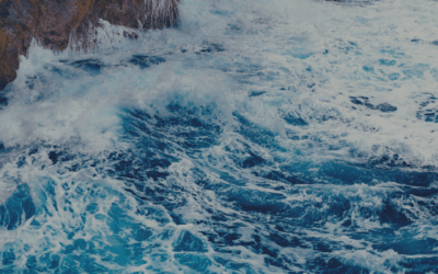 Marka pracodawcy w kryzysie