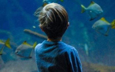 Budowanie marki pracodawcy w social mediach